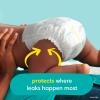 imagePampers Baby Diapers  Swaddlers  Size 6 16 Count Ultra Absorbent Disposable Infant DiaperNewborn