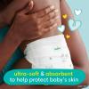 imagePampers Baby Diapers  Swaddlers  Size 6 16 Count Ultra Absorbent Disposable Infant DiaperNewborn