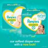 imagePampers Baby Diapers  Swaddlers  Size 6 16 Count Ultra Absorbent Disposable Infant DiaperNewborn