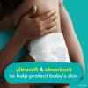 imagePampers Baby Diapers  Swaddlers  Size 6 16 Count Ultra Absorbent Disposable Infant DiaperNewborn