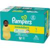 imagePampers Baby Diapers  Swaddlers  Size 6 16 Count Ultra Absorbent Disposable Infant DiaperSize 1