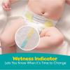 imagePampers Baby Diapers  Swaddlers  Size 6 16 Count Ultra Absorbent Disposable Infant DiaperSize 7