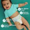 imagePampers Diapers  Baby Dry  Size 7 108 Count Absorbent Disposable Infant Diaper Packaging May VaryNewborn