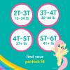 imagePampers Easy Ups Pull On Training Underwear Girls 2T3T 2 Month Supply 2 x 140 Count with Sensitive Water Based Baby Wipes 12X Multi Pack PopTop and Refill 1008 CountSize 2T3T