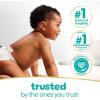 imagePampers Sensitive Baby Wipes Water Based Hypoallergenic and Unscented 8 FlipTop Packs 4 Refill Packs 1008 Wipes Total64 Count Pack of 3