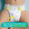 imagePampers Swaddlers Disposable Baby Diapers Size 6 108 Count with Sensitive Water Based Baby Wipes 4X PopTop Packs 336 CountSize 1  4X