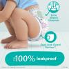 imagePampers Training Pants  Easy Ups Boys ampamp Girls Bluey  Size 2T3T 140 Count Childrens Potty Underwear Packaging May Vary2T3T