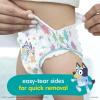 imagePampers Training Pants  Easy Ups Boys ampamp Girls Bluey  Size 2T3T 140 Count Childrens Potty Underwear Packaging May Vary5T6T