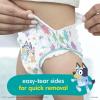 imagePampers Training Pants  Easy Ups Boys ampamp Girls Bluey  Size 2T3T 140 Count Childrens Potty Underwear Packaging May Vary5T6T