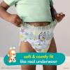 imagePampers Training Pants  Easy Ups Boys ampamp Girls Bluey  Size 2T3T 140 Count Childrens Potty Underwear Packaging May Vary5T6T