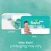 imagePampers Baby Wipes Aqua Pure 99 waterbased wipes Hypoallergenic and Unscented Baby Wipes 672 Wipes Total 12 FlipTop Packs56 Count Pack of 1