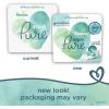 imagePampers Baby Wipes Aqua Pure 99 waterbased wipes Hypoallergenic and Unscented Baby Wipes 672 Wipes Total 12 FlipTop Packs560 Count Pack of 1