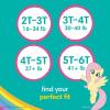 imagePampers Training Pants  Easy Ups Girls ampamp Boys  Size 4T5T 104 Count My Little Pony Potty Underwear Packaging May Vary2T3T