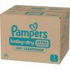 imagePampers Diapers  Baby Dry  Size 6 21 Count Absorbent Disposable Infant Diaper Packaging May VarySize 1