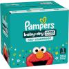 imagePampers Diapers  Baby Dry  Size 6 21 Count Absorbent Disposable Infant Diaper Packaging May VarySize 1