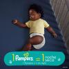imagePampers Diapers  Baby Dry  Size 6 21 Count Absorbent Disposable Infant Diaper Packaging May VarySize 6